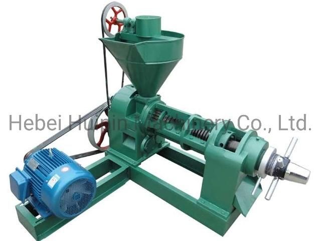 China Supplier Hot and Cold Screw Oil Making Exraction Presser