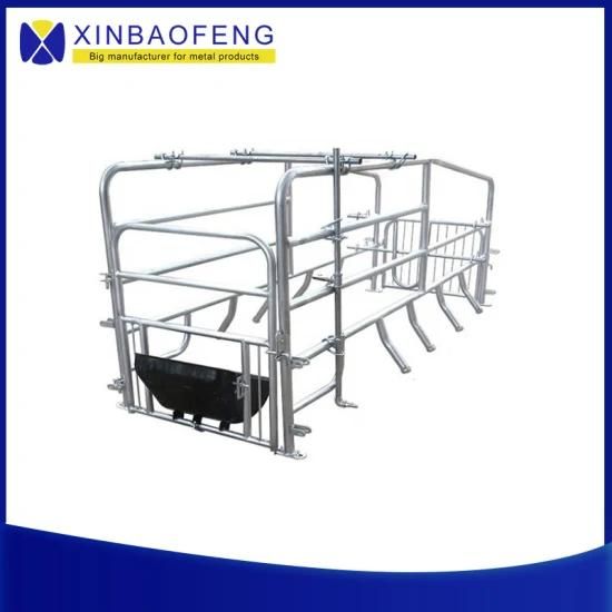 Factory Direct CE Approved High Quality Hot-DIP Galvanized Pig Sow Farrowing Crate