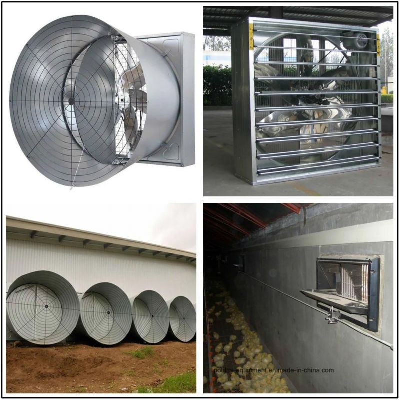 Full Automatic Poultry Farm Equipment for Broiler Chicken