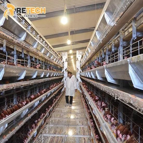 Automatic H Type 4 Tiers Layer Egg Chicken Cage