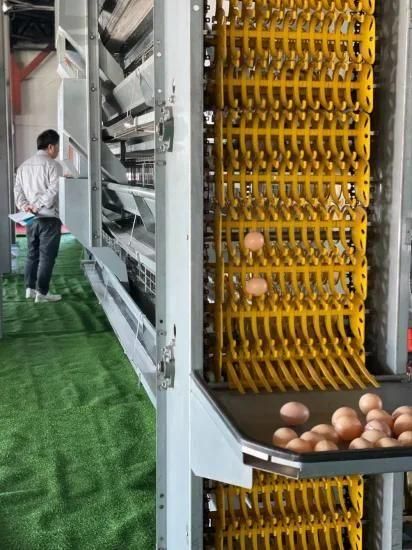 Durable Automatic Hot Dipped Galvanized Layer Poultry Cage
