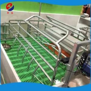 Farrowing Crate for Sale Pig Equipment for Poultry Farm of Sows