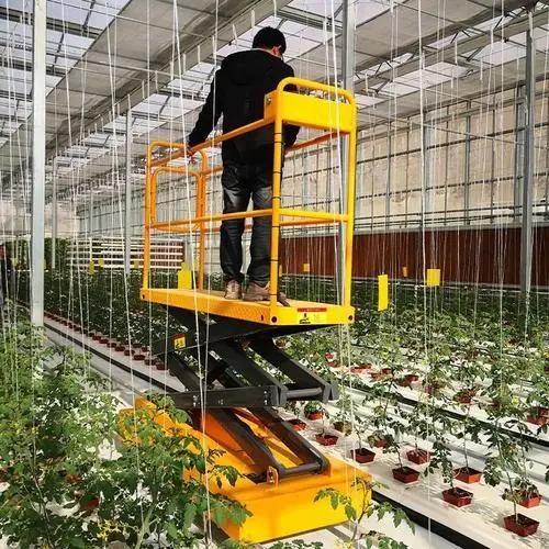 Styles of Greenhouse Specialized Scissor Lift Table Platform/Trolley Cart for High ...