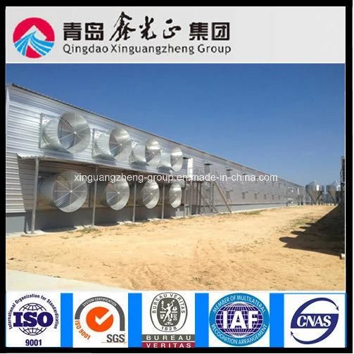 Commercial Chicken Broiler Poultry Farm House Design