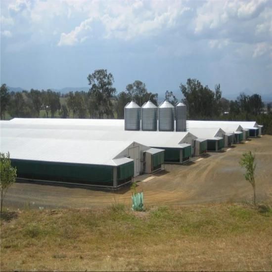 Full Automatic High Tech Hot-Sale Prefabricated Steel Structural Chicken Farm