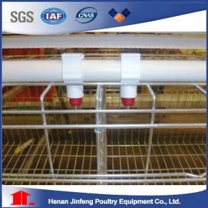 Full Automatic Poultry Equipment for Broiler Chicken Production