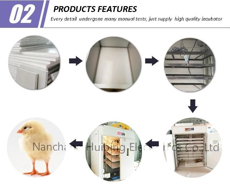 Poultry Farm Temperature Sensor Egg Incubator Chicken Guangzhou