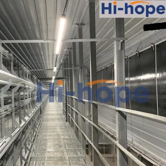 Poultry Equipment Automatic Chicken Layer Cage System
