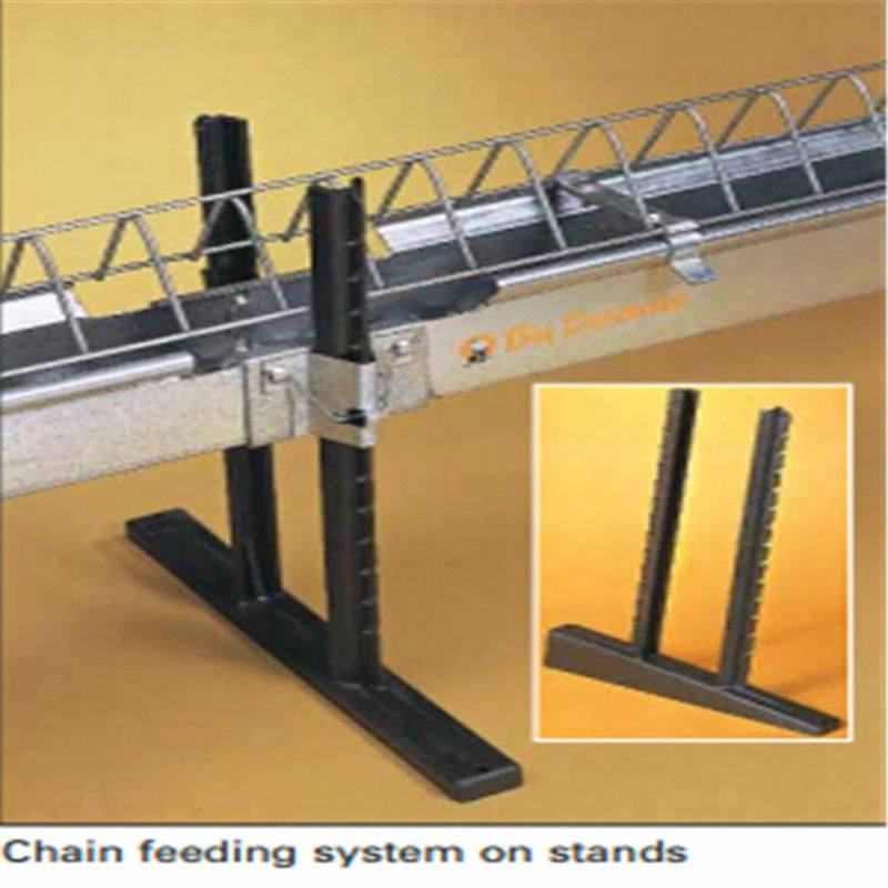 Poultry Breeder and Chicken Chain Feeding Line in Farm