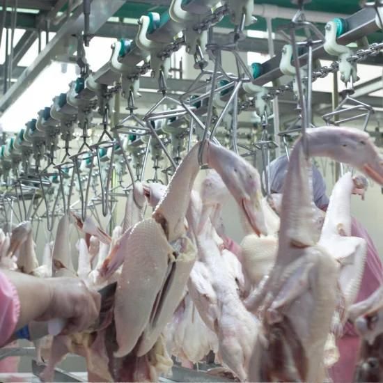 Chicken Duck Birds Abattoir Slaughter Production Machine Equipment for Chicken ...