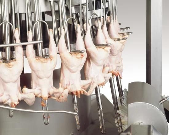 Halal Chicken Poultry Slaughtering Slaughterhouse Equipment Machine Price