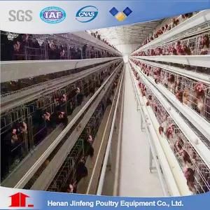 Automatic Farm Equipment Poultry Cage for Chicken Shed