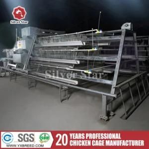 Africa Nigeria Poultry Farming Equipment for Layer Chickens (A3L90)
