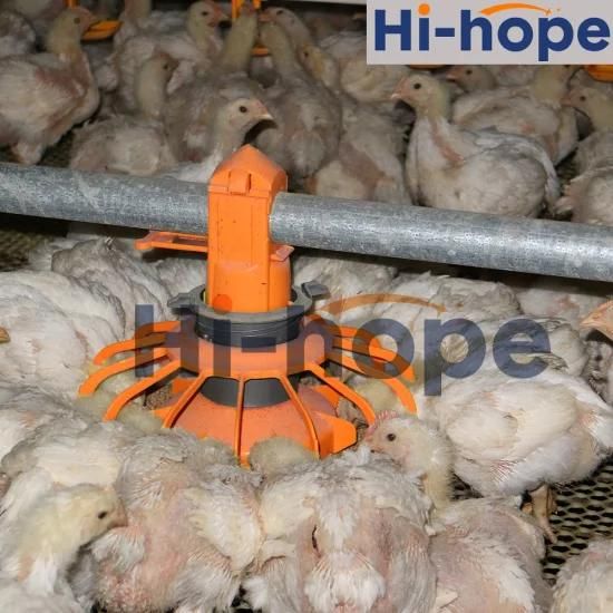 Chicken House Feeding System Broiler Poultry Farm Equipment