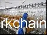 Chain, Trolley Wheel &Bracket for Overhead Conveyor, Chicken Slaughter House