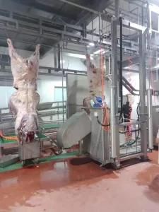 Cattle Slaughterhouse Equipment for Cattle Abattoir Butcher Machinery