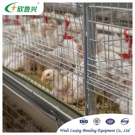 Industrial Commercial Poultry Farming Equipment Battery Chicken Feeding System Broiler ...