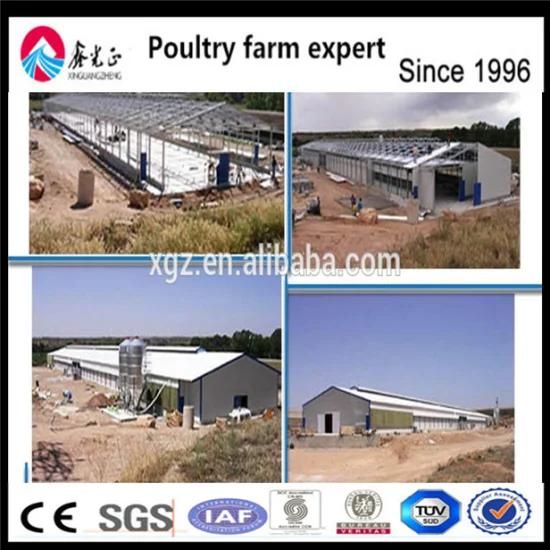 Steel Structure Poultry Farm Shed Chicken House for Layers