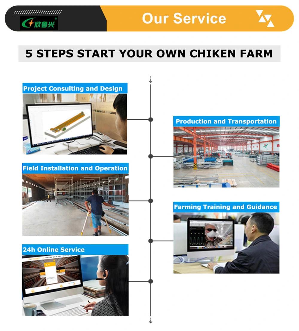Poultry Farm Layer Cages with Automatic Feed System for Poultry Farm
