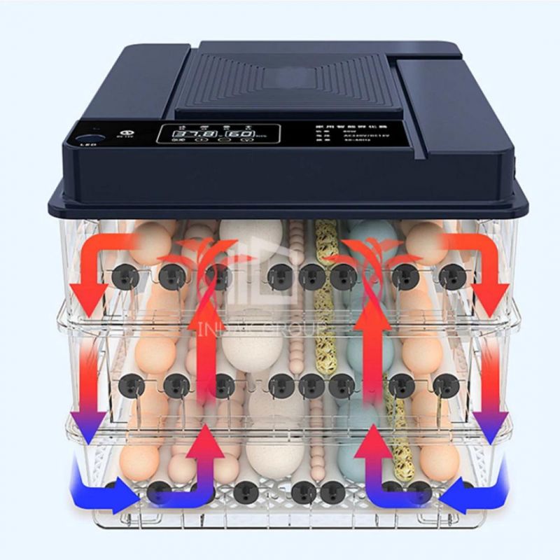 High Quality Automatic Egg Incubator