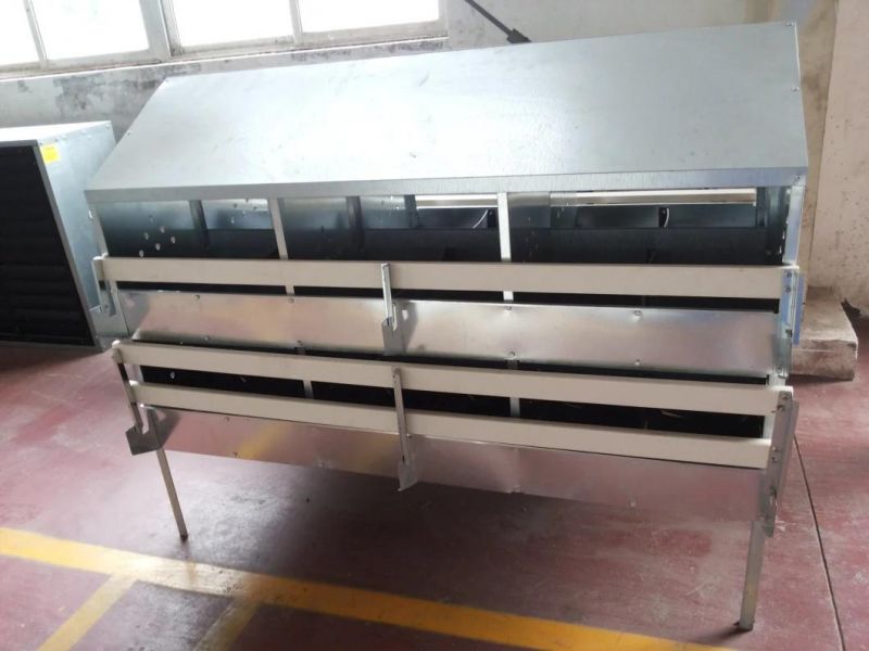 Automatic Pan Feeder Feeding System for Layer Chicken Poultry Farm
