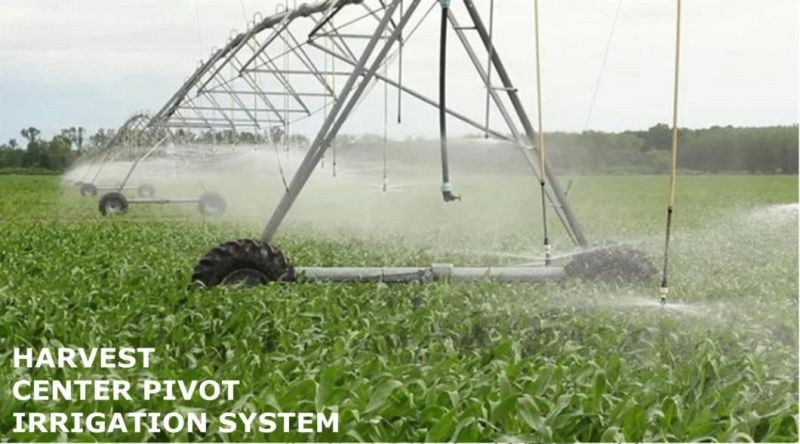 Farm Garden Gateral Move Modern Sprinkler Irrigation Machine