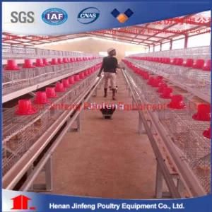 a Type Automatic Poultry Farm Equipment Pullet Battery Chicken Cage