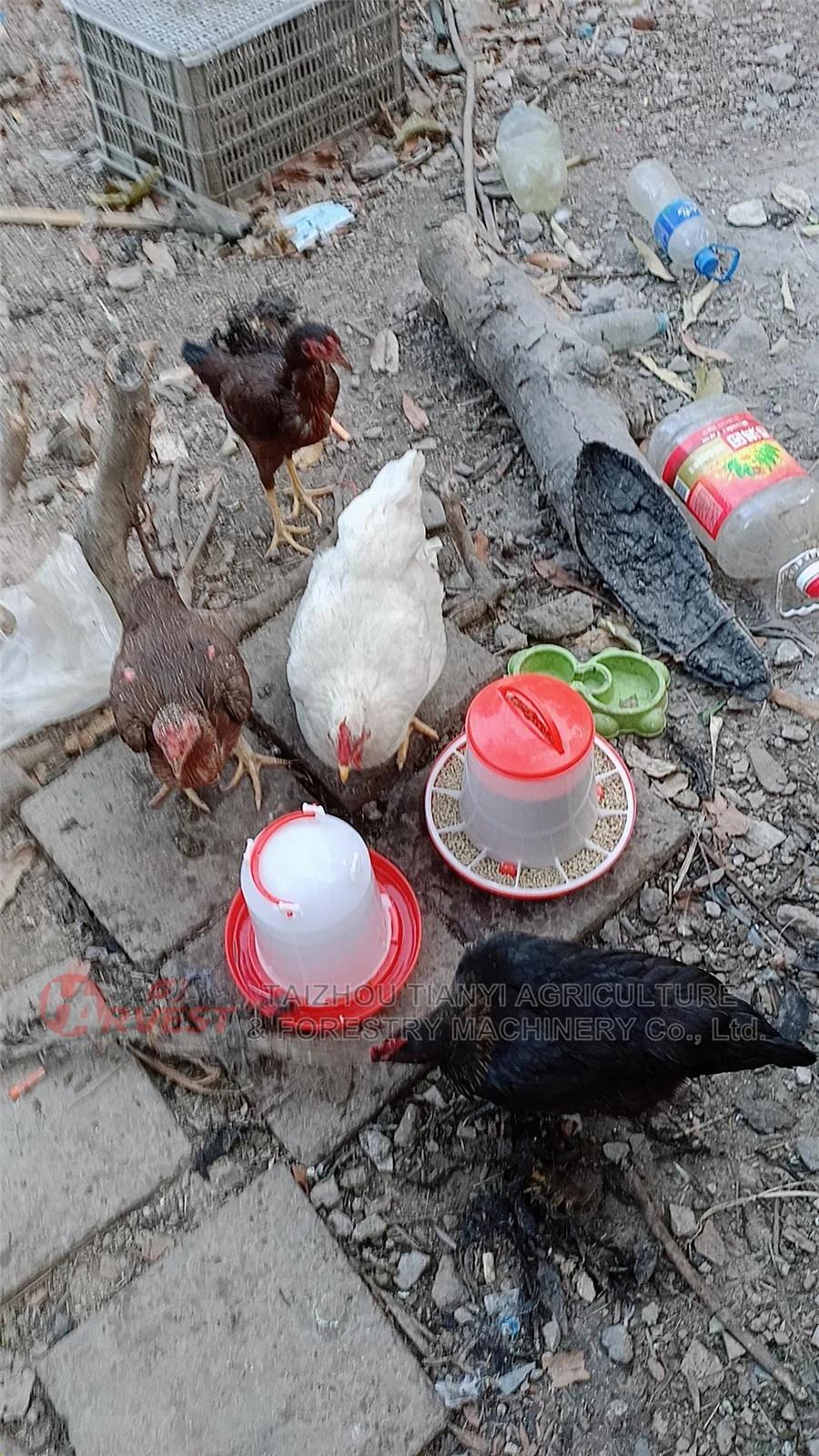 Big Size 16L 18L Chicken Duck Goose Poultry Feeding Equipment Brolier Water Feeder Drinker (DTA-18)