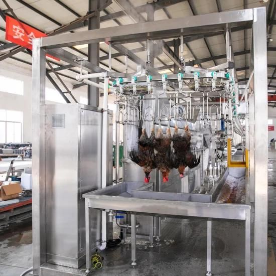 Qingdao Raniche Procesing Factory Line Chicken Processing Equipment