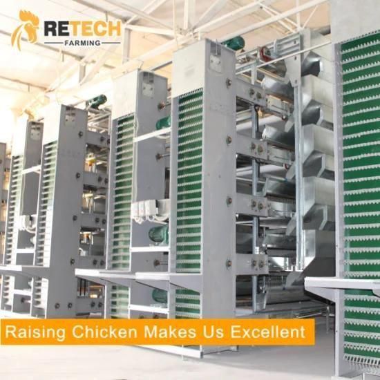 design poultry farm equipment layer chicken cage