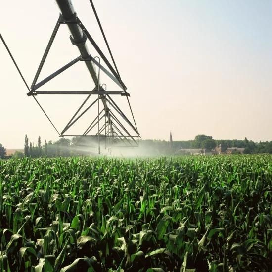 Towable Metal Material and Center Pivot Irrigation System for Sale, Automatic Irrigation ...