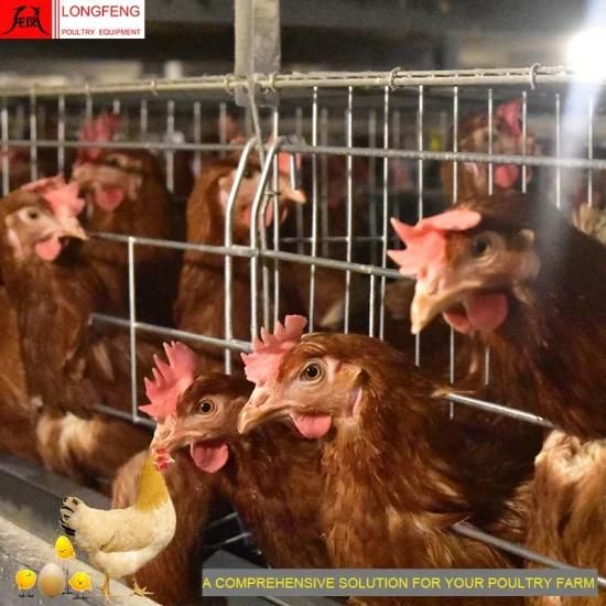 Hot Sale Electric Poultry Farm Chicken Cage 96 Birds-384 Birds Per Set