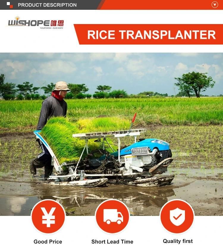 4 Row Hand Operation Paddy Field Rice Transplanter in Indonesia