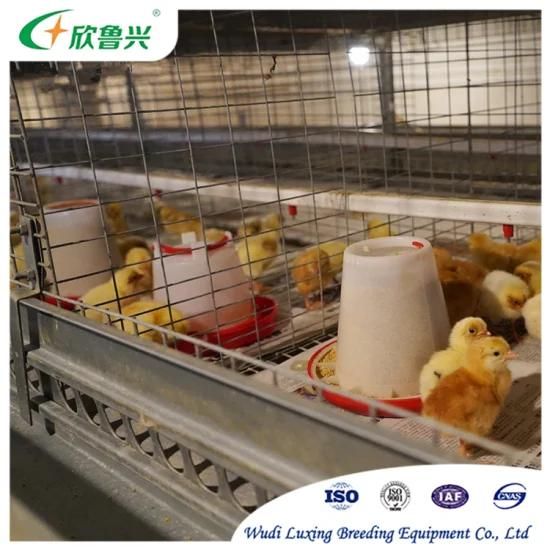 Automatic Battery Vertical Type 4 Tiers Growing Baby Chicks Cage for Chicken Poultry Farm