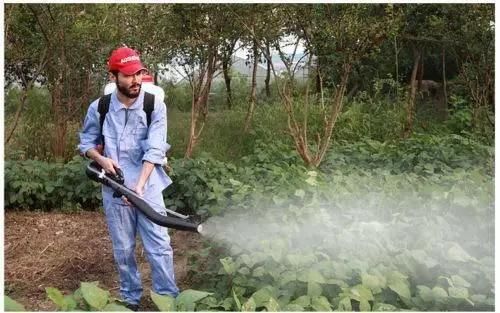 High Quality Agricultural Garden Gasoline Knapsack & Backpack Mist Dust & Power Sprayer Fog Machine with Garden Tool (AS-900A)