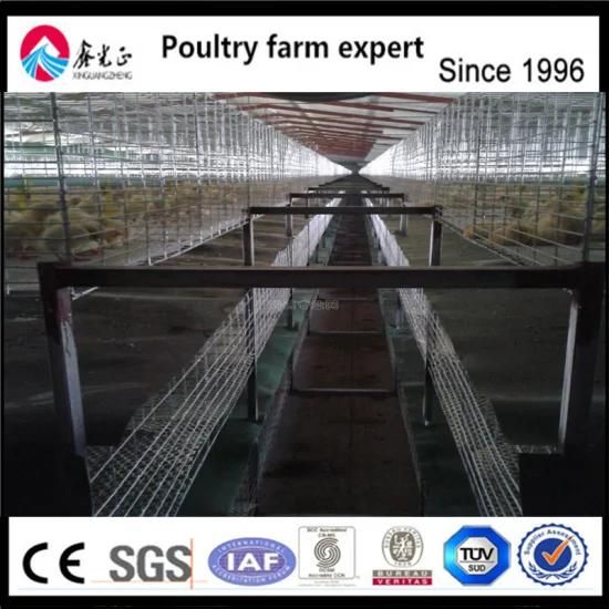 Hld 4 Tiers a-Type Hot Galvanized Layer Chicken Coop for Chicken Farm Equipment