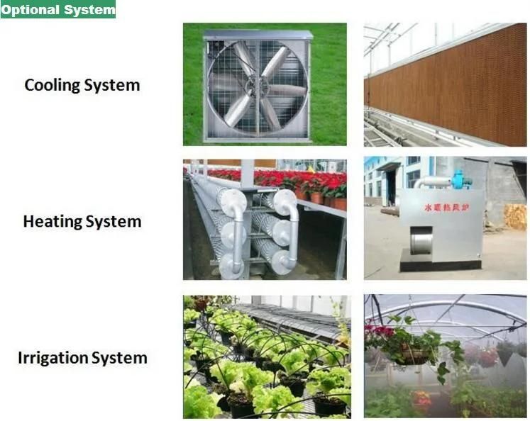 Auto Controlled System Equipments for Greenhouse