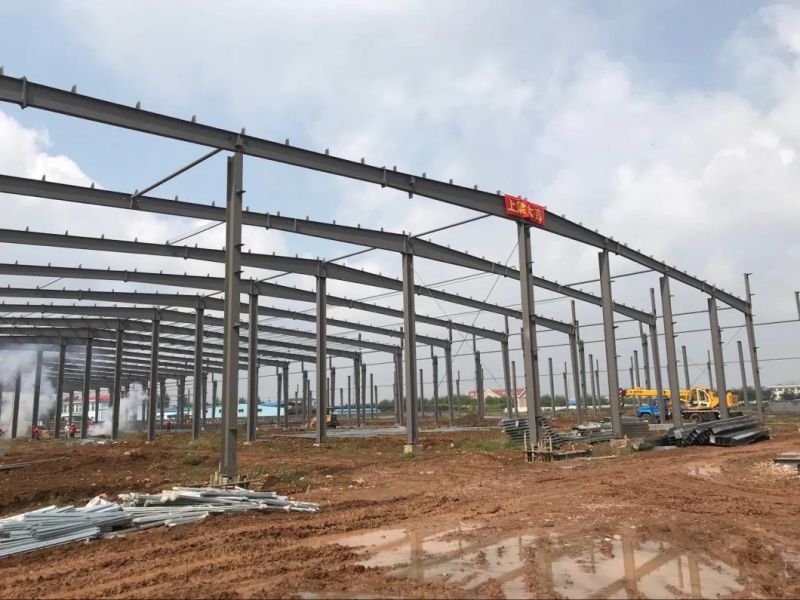 Professional Steel Structure Chicken Farm with Ce Certification
