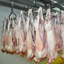 Complete Project of Slaughterhouse for Goat Meat Price