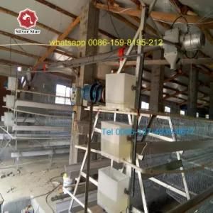 Hot Sale Poultry Equipment Broiler Cage with High Quality Poultry Feeders Drinkers