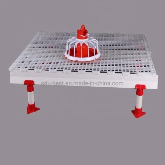 Easy Cleaning UV Proof Plastic Poultry Floor for Chicken Farm