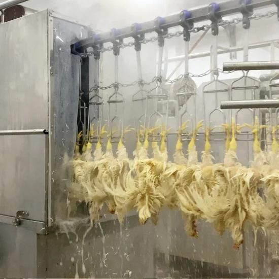 Poultry Chicken Slaughterhouse Chicken Scalding Plucking Machine