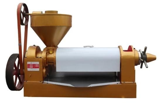 Automatic Seed Oil Extraction Machine Oil Making Machine Price Olive Oil Press Machine