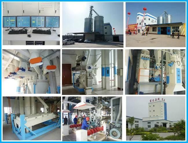 Complete Aquaculture Fish Feed Mill Extruder Plant