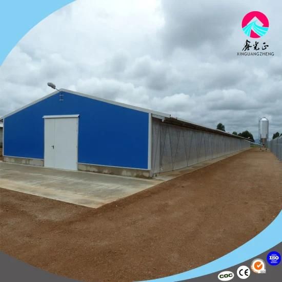 Professionally Designed High Yield Steel Structure Chicken House