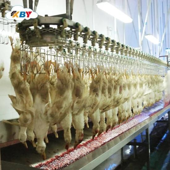 Halal Chicken Slaughtering Equipment for Poultry Processing Plant