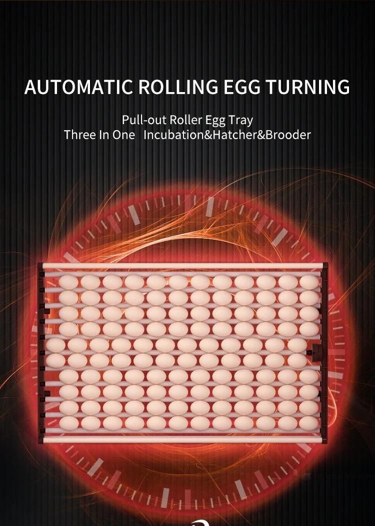 Hhd New Listing Automatic 1000 Egg Incubator Machine for Farm Hatching