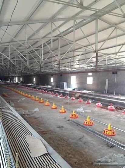 Poultry Auto Feeding Equipment for Broiler / Breeder