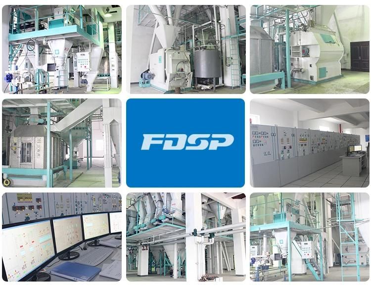 6-8tph High Quality Piglet Pellet Feed Production Line with One Pellet Mill