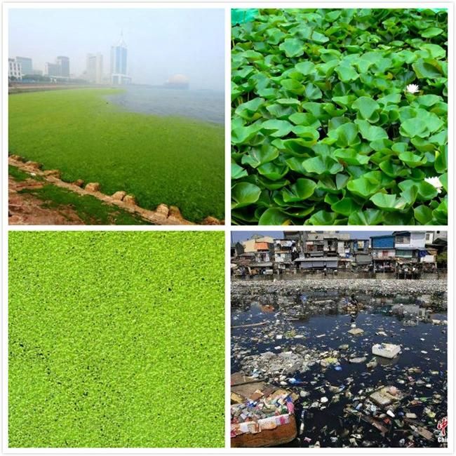 River Plant Cutting Seaweed Removal Aquatic Weed Harvester Trash Skimmer and Weed Collector Plant Removal Water Plant Lake Weed Seaweed Cleaning Harvester